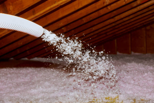 Types of Insulation We Offer in Myrtle Grove, FL
