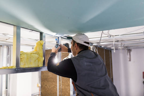 Best Energy Efficiency Insulation in Myrtle Grove, FL