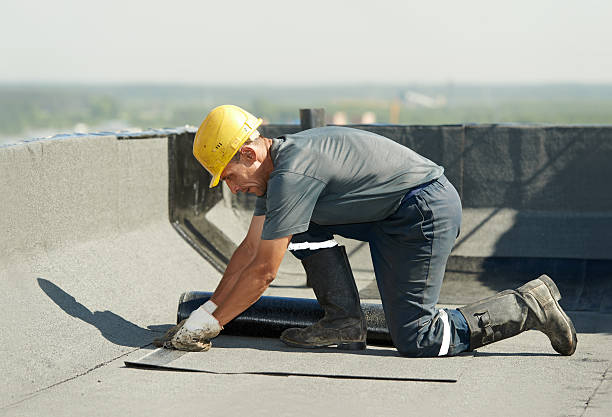Best Commercial Insulation in Myrtle Grove, FL