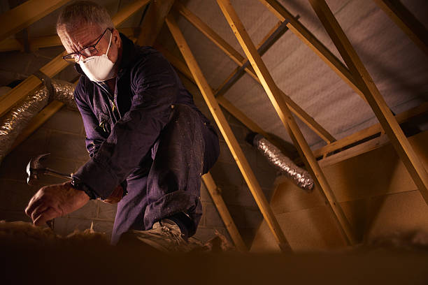 Best Insulation Maintenance and Repair in Myrtle Grove, FL
